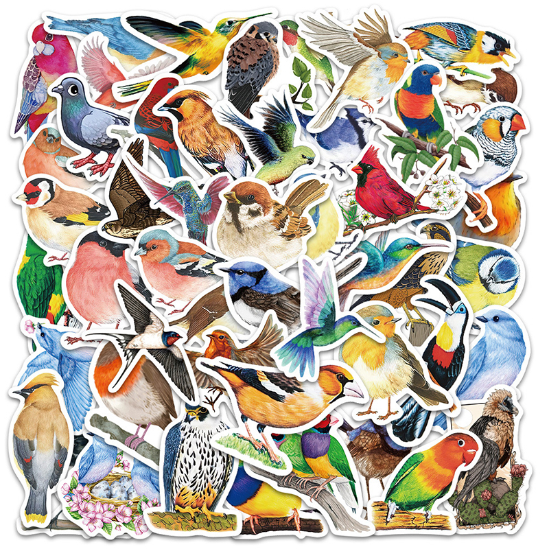 Phone Cases Kids - 50PCS Watercolor Bird Graffiti Stickers DIY