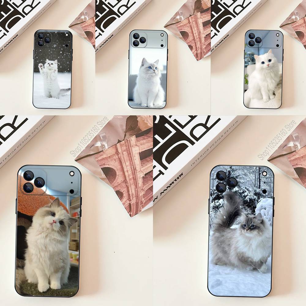 Lovely Ragdoll Cat Funny Phone – Phone Cases Quirky recenzja i cena