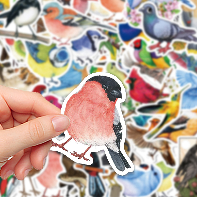 50PCS Watercolor Bird Graffiti – Phone Cases Kids recenzja i cena