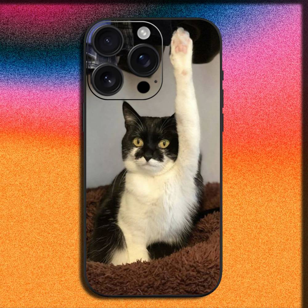 Funny Animal Cat Phone Case Fo – Phone Cases Quirky recenzja i cena